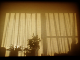 DSC01300