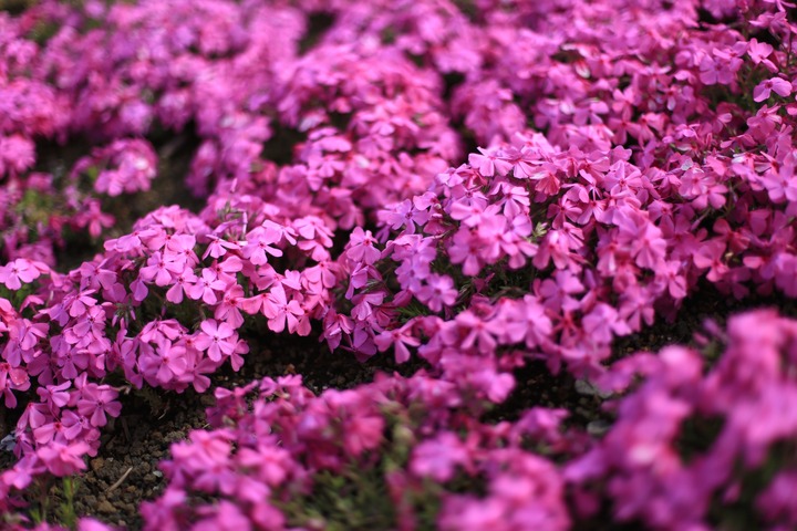 写真2