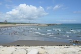miyazaki049 (2)