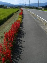 6855f6ea.jpg