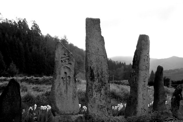 2010-5-16