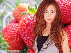 倉木麻衣