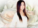 The ROSE 〜 melody in the sky 〜