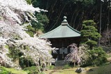 変換~IMG_2607