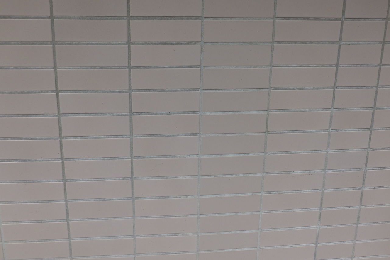 DSCF2785