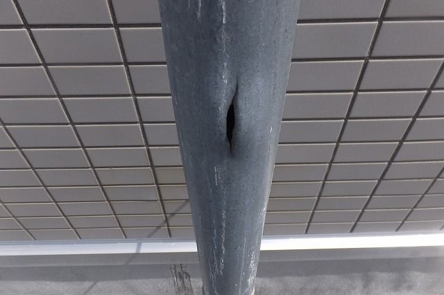 DSCF1518