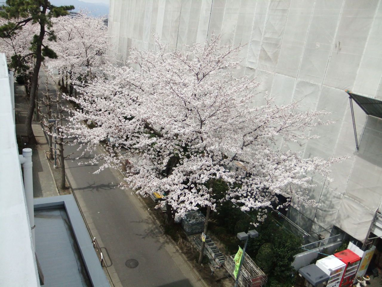 DSCF1465