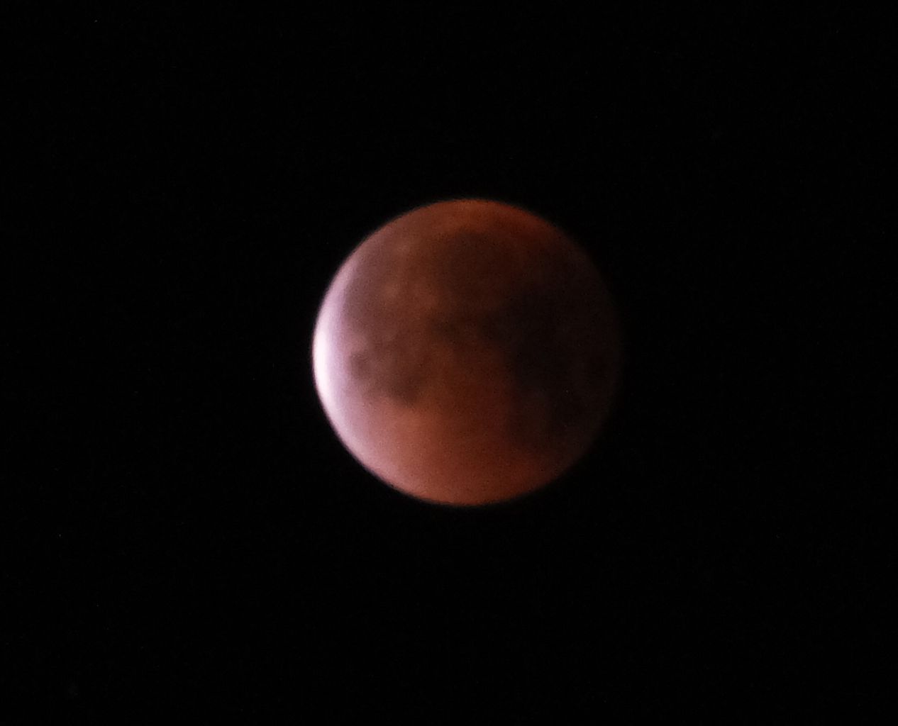 1DSCF1147