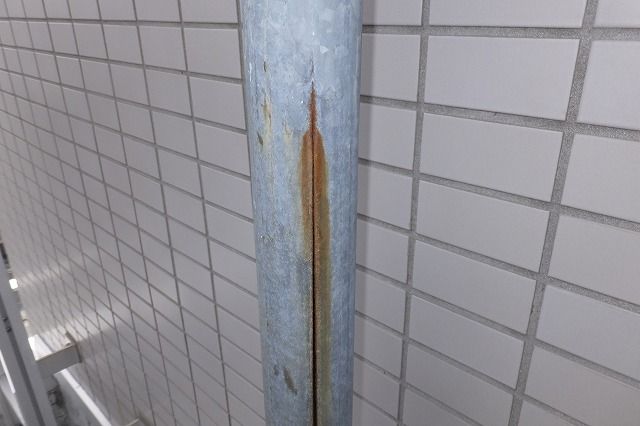 DSCF1653