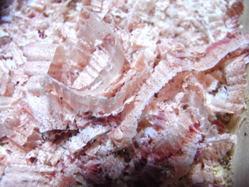 22315d9f.jpg