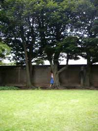 5a251784.jpg