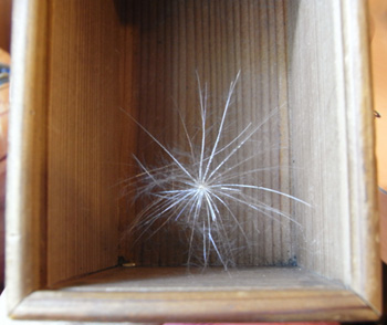 fe2cf434.jpg