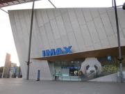 IMG_1241