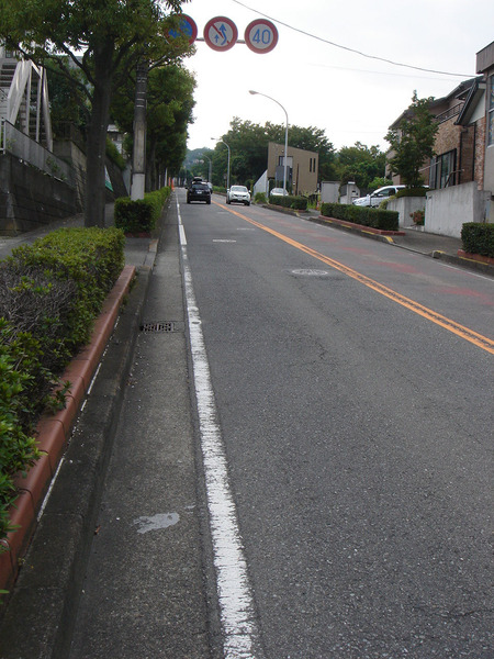 DSC03029