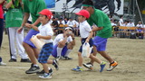 RIMG7349
