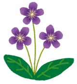 flower_sumire