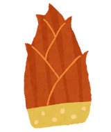 takenoko_bamboo_shoot