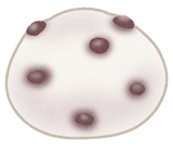 sweets_daifuku_mame