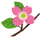 flower_hanamizuki