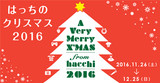 20161124_1