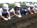 RIMG7515