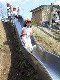RIMG8539