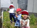 RIMG5682