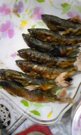 7d78ca01.jpg