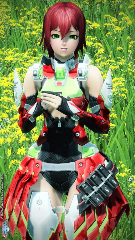 pso20161231_162913_029