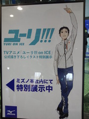 CA3K5066