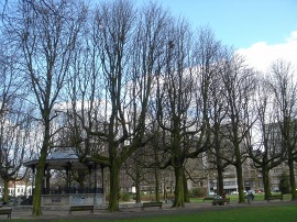 公園2