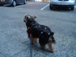 雪でも行くよ。