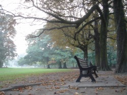 park