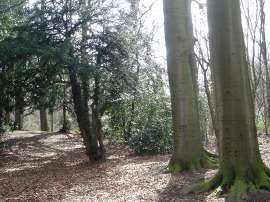 公園その1