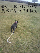 BlogPaint
