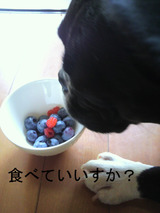 BlogPaint
