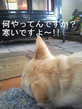 BlogPaint