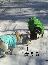 BlogPaint