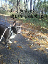 BlogPaint