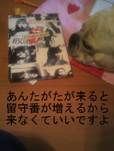 BlogPaint