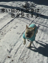 BlogPaint