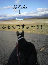 BlogPaint