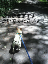 BlogPaint