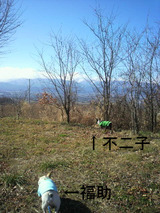 BlogPaint