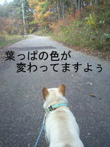 BlogPaint