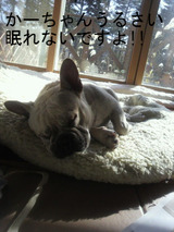 BlogPaint