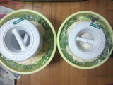 BlogPaint