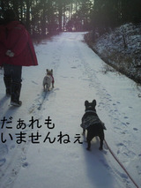 BlogPaint