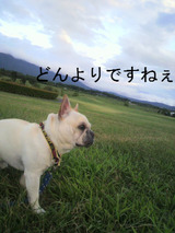 BlogPaint