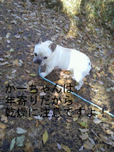 BlogPaint